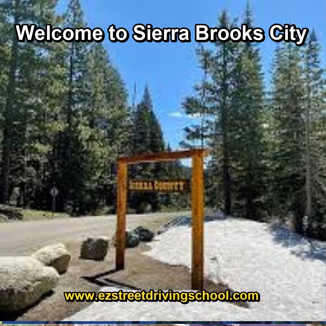 Driving Lessons in Sierra Brooks